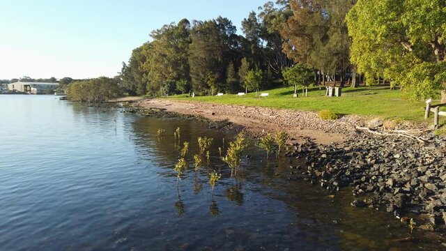 Coastline view of Parramatta River on a sunny day.