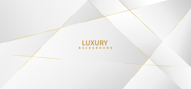 Abstract white background with golden line luxury.