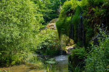 Fototapeta na wymiar A gentle waterfall on a pond in a green leafy jungle forest