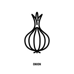 Onion thin line icon. Vegetable, flovouring. Healthy organic food. Vector illustration.