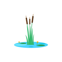 Reed and water lilies on the pond mini natural landscape isolated vector illustration