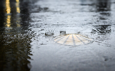 Scallop made of bronze as a waymark in the old town of Santiago de Compostela on wet ground when it rains.
