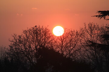 Fototapeta premium Winter Sunrise