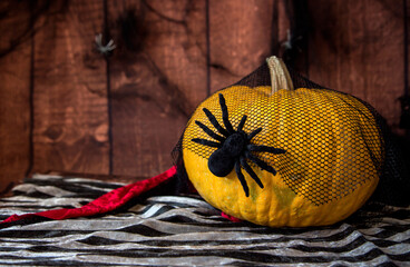 halloween background with big pumpkin and spider