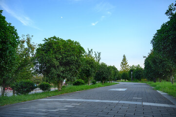 road in the park