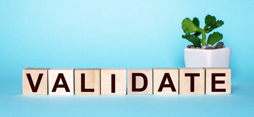 The word VALIDATE is made of wooden cubes on a light blue background near a flowerpot. Business concept