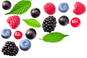 mix of blueberry, blackberry, cranberry, raspberry with leaves isolated on white background. top view
