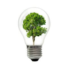 Light bulbs with natural ideas and energy concept