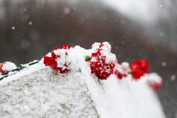 memorial carnations victory day день победы 