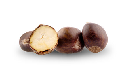 chestnut isolated on white background