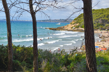 Idyllic scenery in the wild overlooking Waikiki Beach.