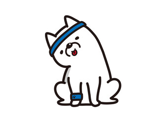 運動をする犬