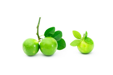 fresh lime. Green leaf lime isolated on white background.