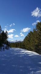 Nature Photos