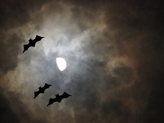 ハロウィンの夜　月光に照らされるコウモリのシルエット