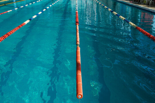 The sports swimming pool. Sport background - Powered by Adobe