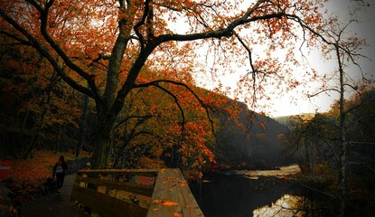 Otoño