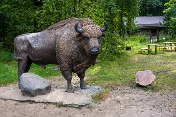 Fototapeta premium a monument to the Central Russian bison on the territory of the reserve