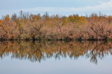 Autumn forest landscape reflection on the waters of small lake at sunset lights of sun
