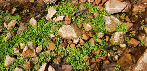 Nature Phtoos