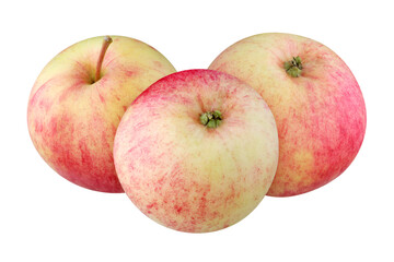 rustic apple isolated on white background with clipping path.