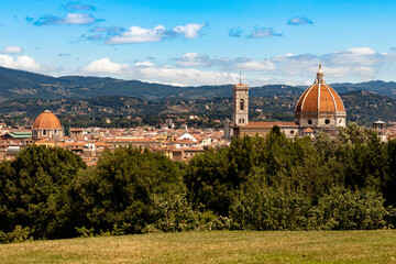 Fototapeta na wymiar Beautiful view of the city of Florence - Italy