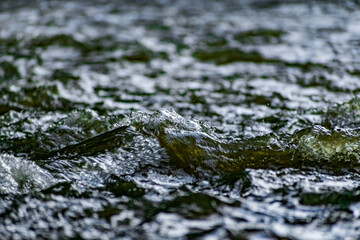 Fresh water in motion, swirling current with flying spray. Green tint on the light, transparent liquid in the river, like small waves for background and texture