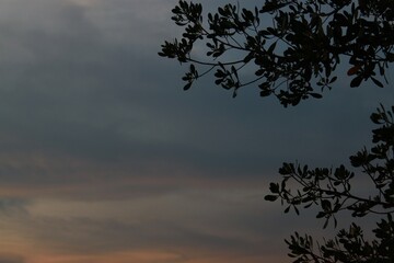 time lapse of clouds in the sky