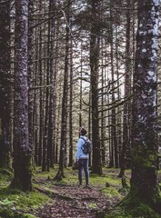 hiking in the forest