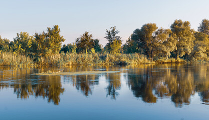 Scenery of silent rural lake near green forest.