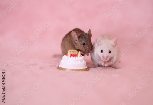 バースデーケーキで誕生日をお祝いする仲好しハツカネズミ Wall Mural 昌裕 高橋