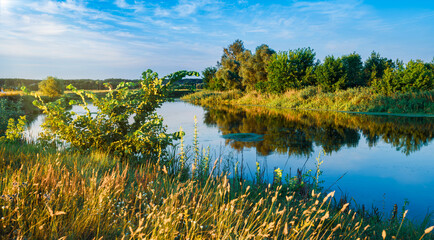 Beautiful landscape of silent lake near forest.