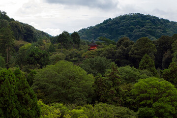 Fototapeta na wymiar Pagoda. Kyoto, Japón