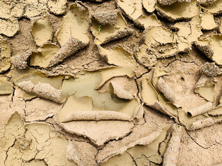 The surface of dry land with many cracks. Ground surface peel off from hot temperature.