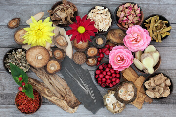 Fototapeta premium Chinese herbs, spices & flowers with acupuncture needles used in traditional herbal medicine on rustic wood background.
