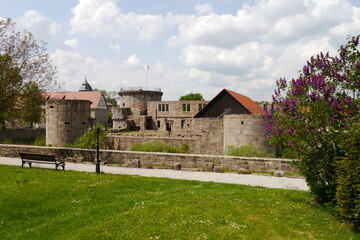 Fototapeta na wymiar Schlossgarten bzw. Park Wasserburg Friedewald in Hessen