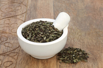 Plantain herb leaf in a mortar   used in herbal medicine to treat vomiting blood, blood in the urine, premenstrual problems, menstrual cramps, skin conditions & eye irritation. Plantago lanceloata.