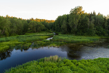 An evening by a river with lush and green banks during summer in Estonian nature. 
