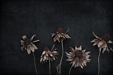 Dried flowers on black background vintage toned. Autumn concept. poster