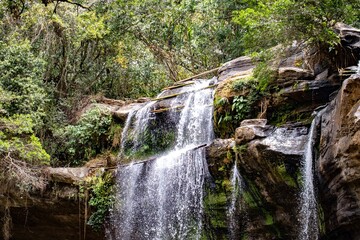 small waterfall in the forest