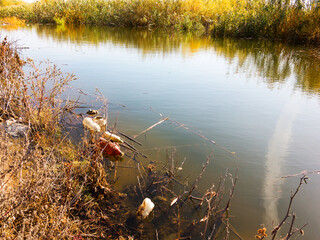 Empty plastic and glass bottles, paper and other garbage thrown by people on the lake. Pollution of the environment..