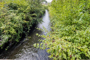 Keutelbeek stream with its crystal clear water among lush plants and green vegetation, sunny summer day in Sittard, South Limburg, Netherlands