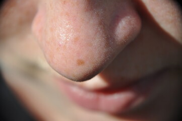 Macro closeup nose of woman girl with one single freckle and Vellus Hair.