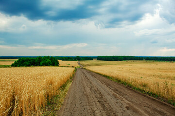 A road in a field and a blue sky with clouds.