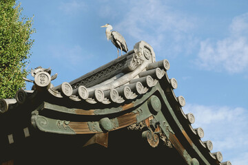Pagoda. Kyoto, Japón