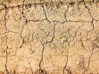 texture of dried cracked surface layer of the earth