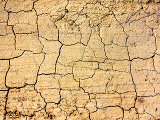 texture of dried cracked surface layer of the earth