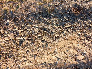 texture of dried cracked surface layer of the earth