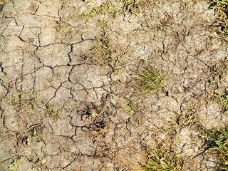 texture of dried cracked surface layer of the earth