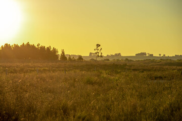 Fototapeta na wymiar Rural landscape in farm areas in southern Brazil